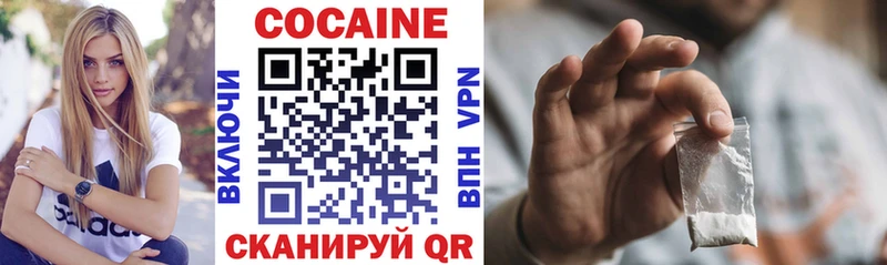 КОКАИН FishScale  Купить закладки  Камышлов 