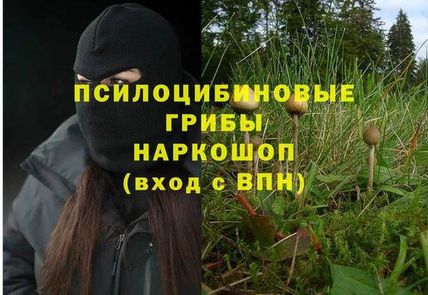 первитин Вяземский